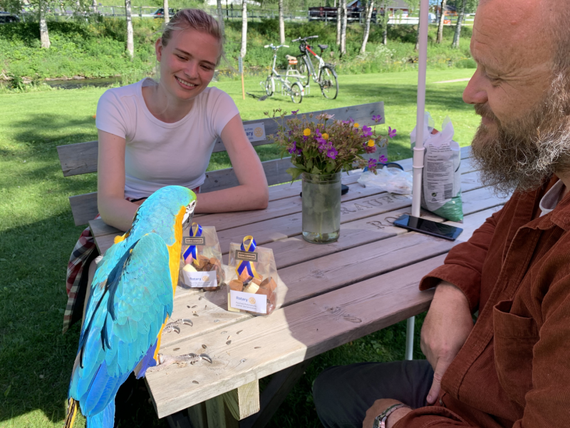 Byfest på Raufoss i anledning bystatus.