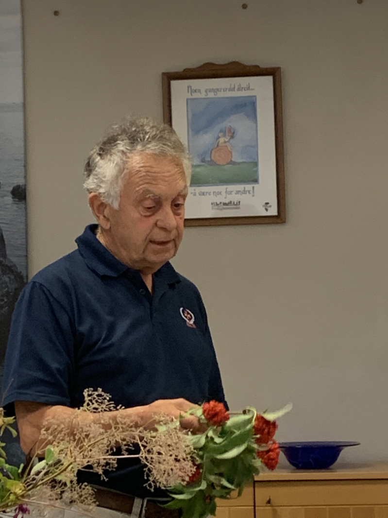 PLANTER I VEIGRØFTA SOM FOLKEMEDISIN