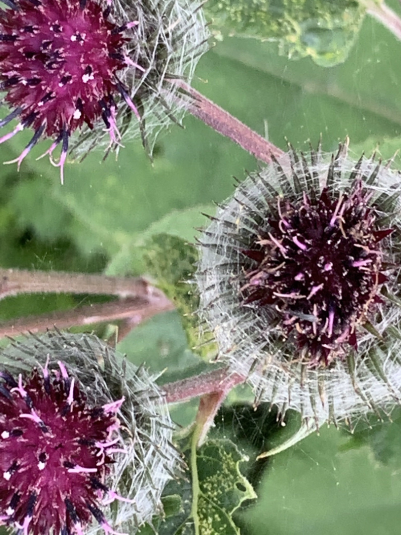 Hyggelig med oppslag i Tidsskriftet Rotary Norden 3/23