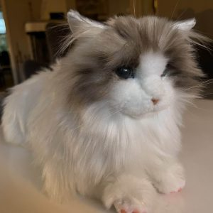 Raufoss Rotaryklubb ønsker å bidra med trivsel og hygge