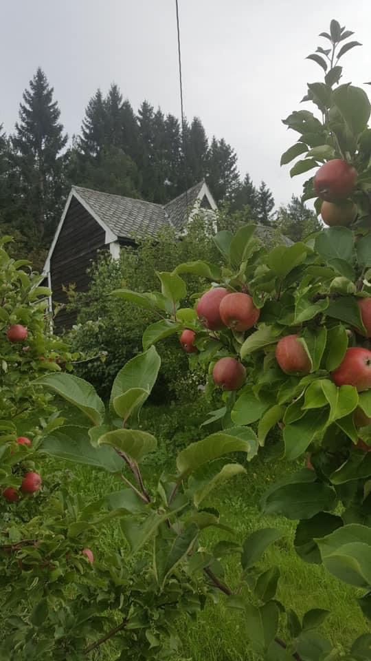 Vekommen til nytt Rotaryår 24/25