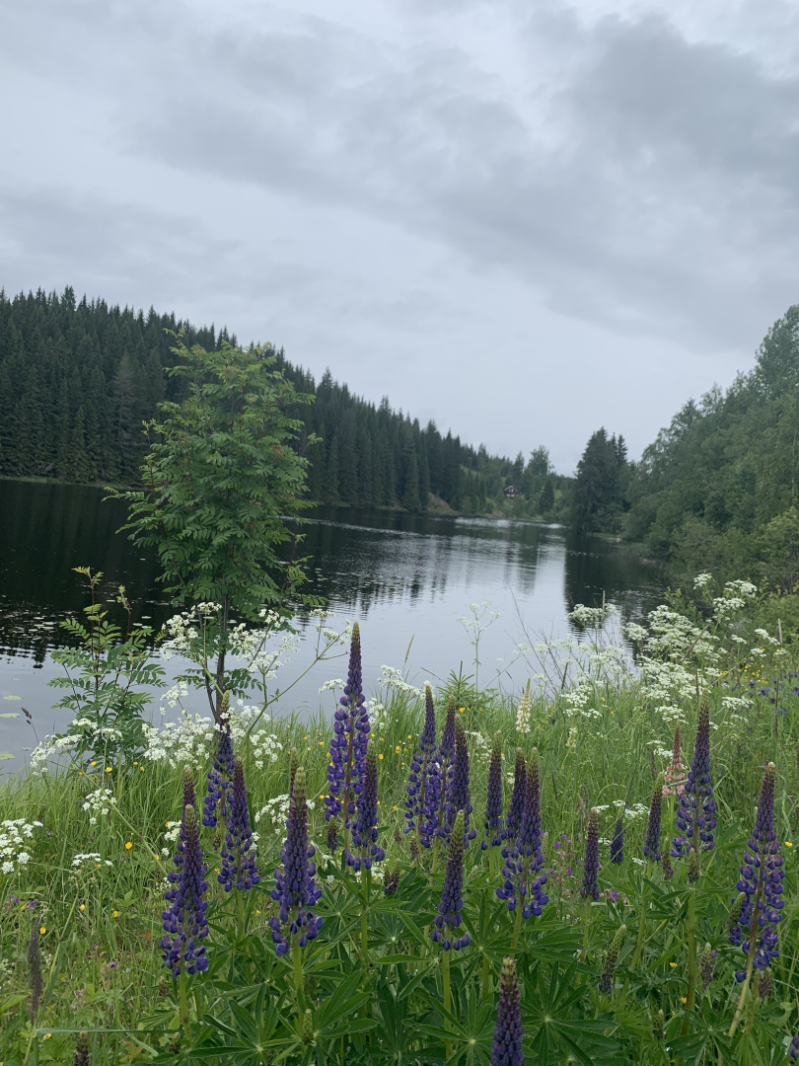 Vindmøller på Toten, og konsekvenser.