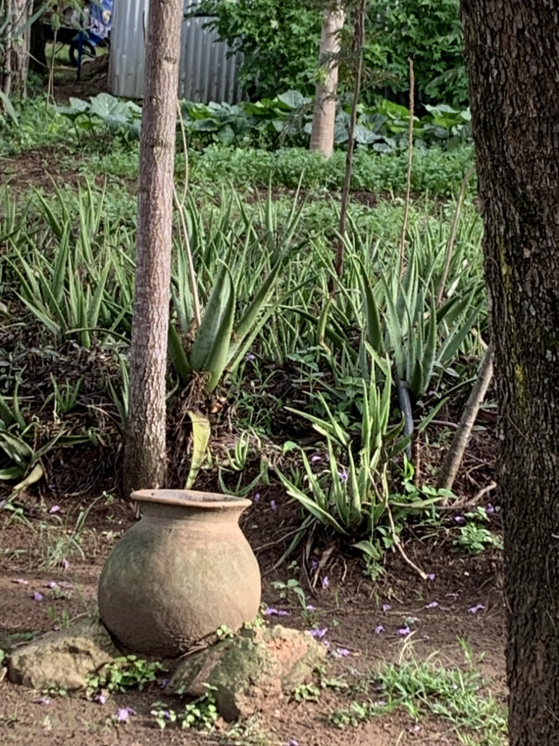 Rotarys innsats i Kenya: Sammen skaper vi varige endringer