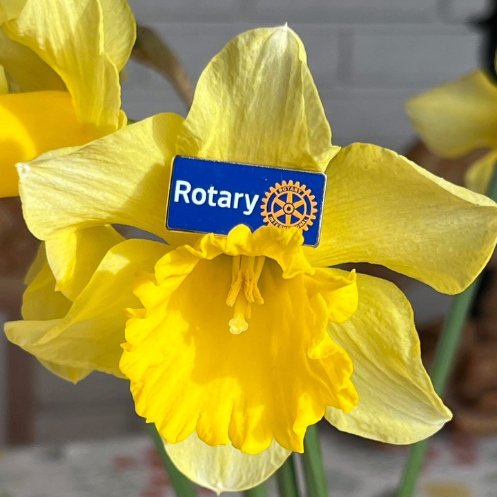 19. april 1868 ble Rotarys grunnlegger Paul Harris født.