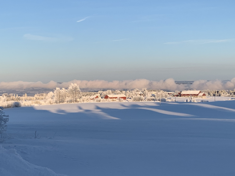 Vi har trekt vårt lotteri   ØNSKER DERE EN FIN HØYTID